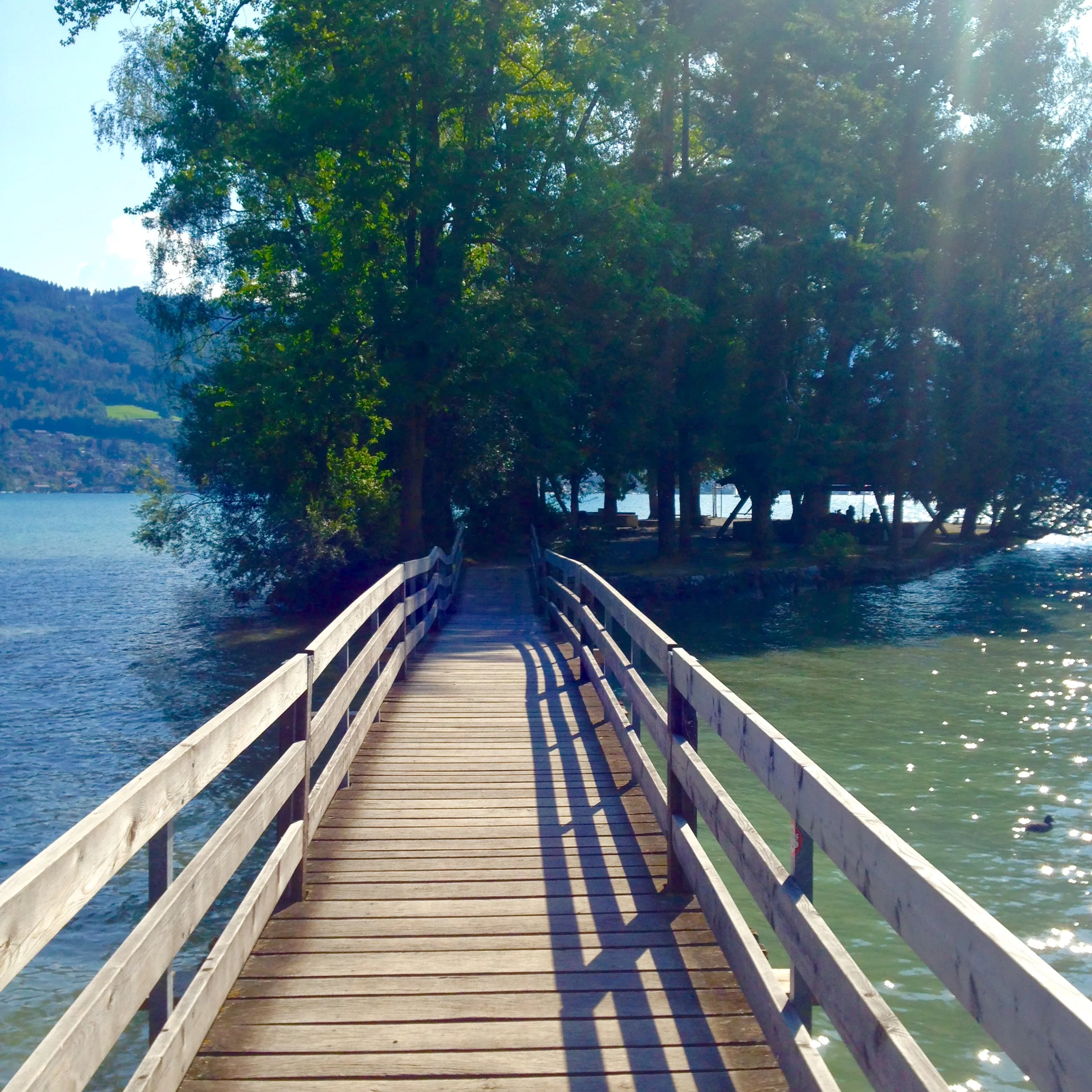 Holzbrücke im Morgenlicht